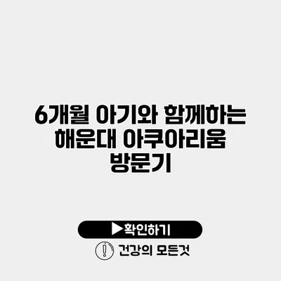 6개월 아기와 함께하는 해운대 아쿠아리움 방문기