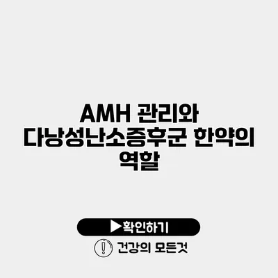 AMH 관리와 다낭성난소증후군 한약의 역할