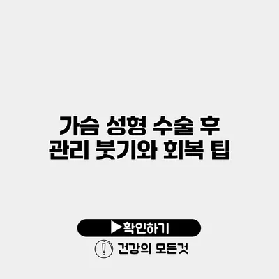 가슴 성형 수술 후 관리 붓기와 회복 팁
