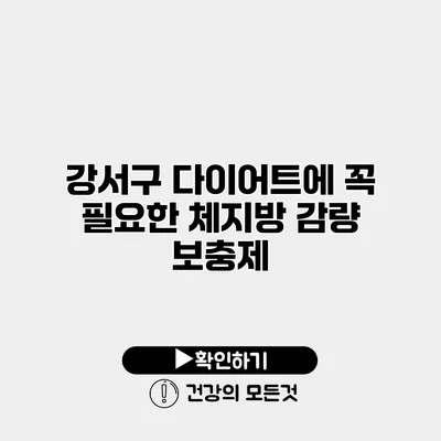 강서구 다이어트에 꼭 필요한 체지방 감량 보충제