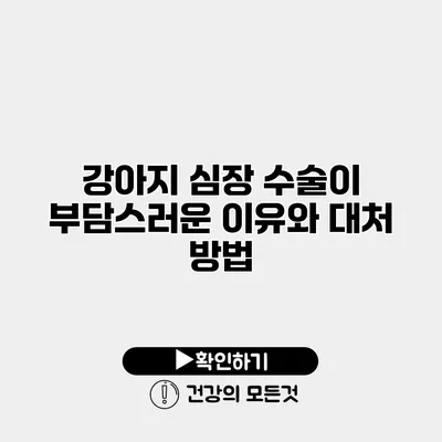 강아지 심장 수술이 부담스러운 이유와 대처 방법