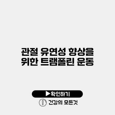 관절 유연성 향상을 위한 트램폴린 운동