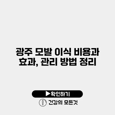 광주 모발 이식 비용과 효과, 관리 방법 정리