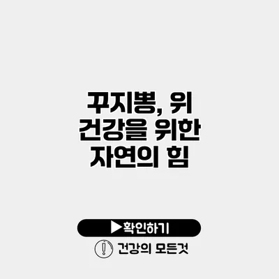 꾸지뽕, 위 건강을 위한 자연의 힘