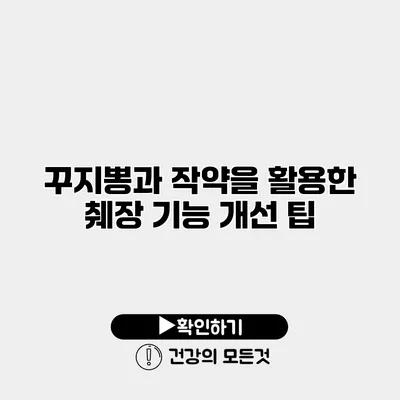 꾸지뽕과 작약을 활용한 췌장 기능 개선 팁