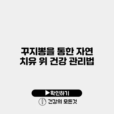 꾸지뽕을 통한 자연 치유 위 건강 관리법