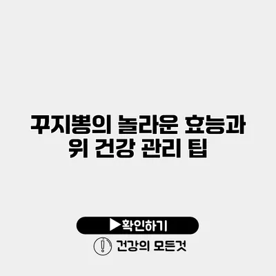 꾸지뽕의 놀라운 효능과 위 건강 관리 팁