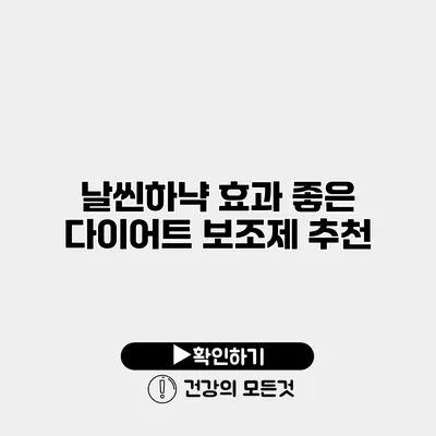 날씬하냑 효과 좋은 다이어트 보조제 추천