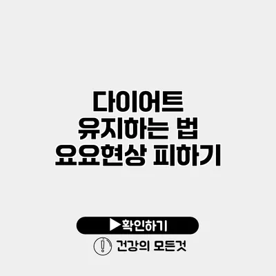 다이어트 유지하는 법 요요현상 피하기