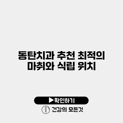 동탄치과 추천 최적의 마취와 식립 위치