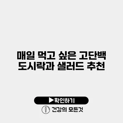 매일 먹고 싶은 고단백 도시락과 샐러드 추천