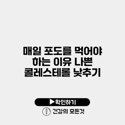 매일 포도를 먹어야 하는 이유 나쁜 콜레스테롤 낮추기