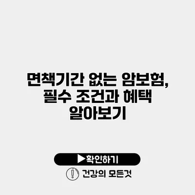 면책기간 없는 암보험, 필수 조건과 혜택 알아보기