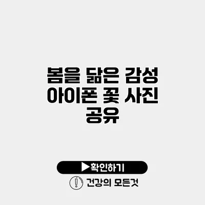 봄을 닮은 감성 아이폰 꽃 사진 공유