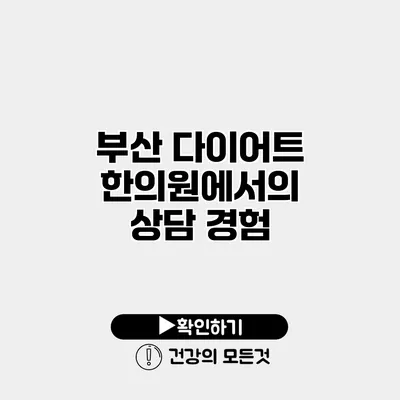 부산 다이어트 한의원에서의 상담 경험