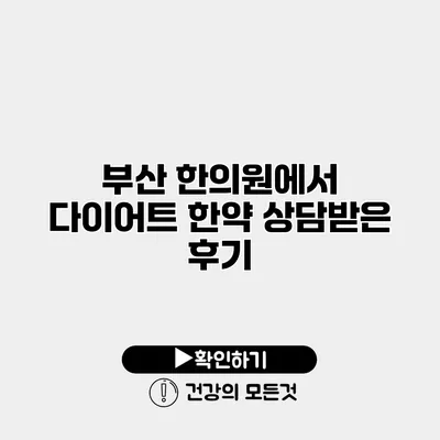 부산 한의원에서 다이어트 한약 상담받은 후기