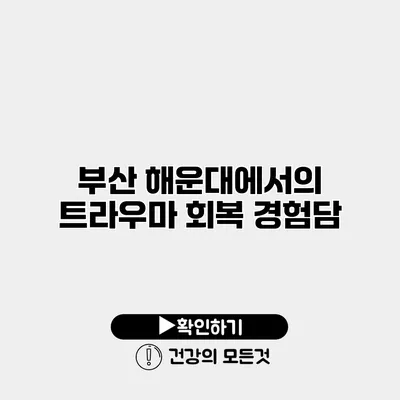 부산 해운대에서의 트라우마 회복 경험담