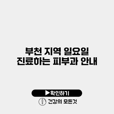 부천 지역 일요일 진료하는 피부과 안내