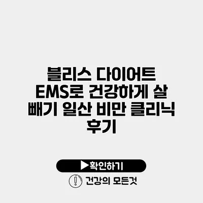 블리스 다이어트 EMS로 건강하게 살 빼기 일산 비만 클리닉 후기