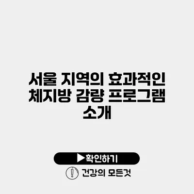 서울 지역의 효과적인 체지방 감량 프로그램 소개