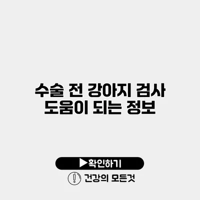 수술 전 강아지 검사 도움이 되는 정보