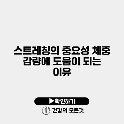 스트레칭의 중요성 체중 감량에 도움이 되는 이유