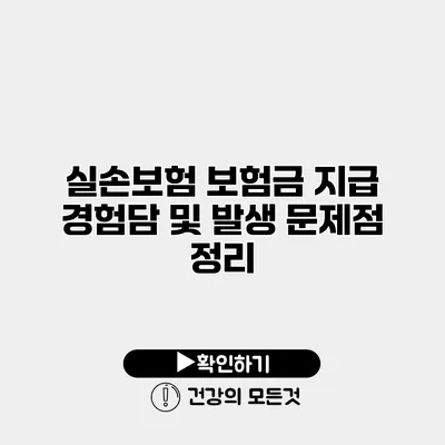 실손보험 보험금 지급 경험담 및 발생 문제점 정리