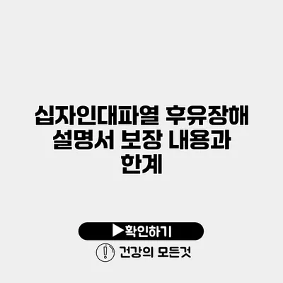 십자인대파열 후유장해 설명서 보장 내용과 한계