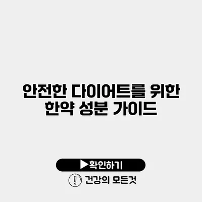 안전한 다이어트를 위한 한약 성분 가이드