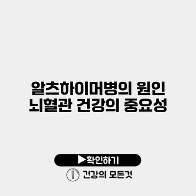 알츠하이머병의 원인 뇌혈관 건강의 중요성