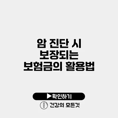 암 진단 시 보장되는 보험금의 활용법
