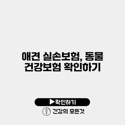 애견 실손보험, 동물 건강보험 확인하기