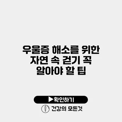 우울증 해소를 위한 자연 속 걷기 꼭 알아야 할 팁