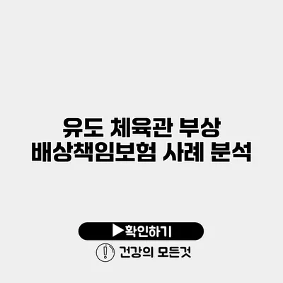 유도 체육관 부상 배상책임보험 사례 분석