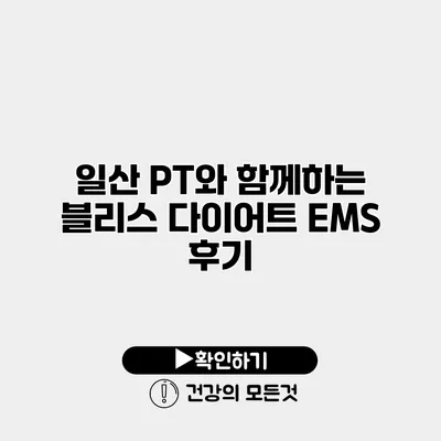 일산 PT와 함께하는 블리스 다이어트 EMS 후기