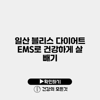 일산 블리스 다이어트 EMS로 건강하게 살 빼기