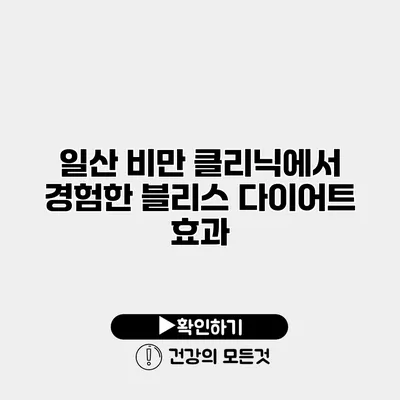 일산 비만 클리닉에서 경험한 블리스 다이어트 효과