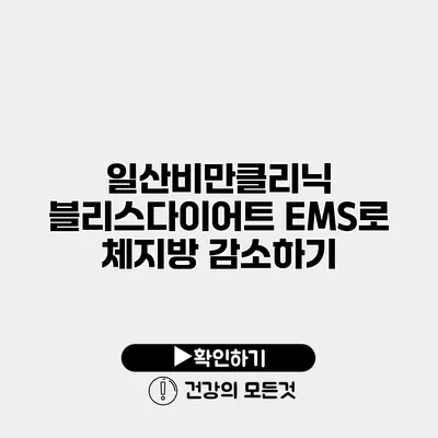 일산비만클리닉 블리스다이어트 EMS로 체지방 감소하기