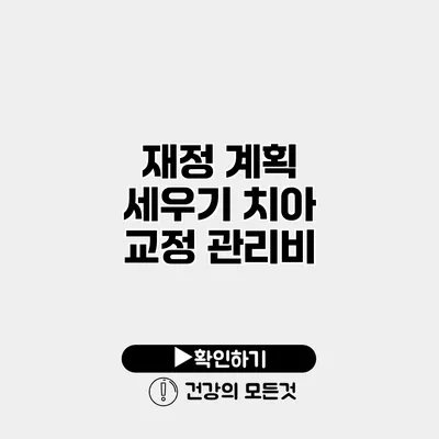 재정 계획 세우기 치아 교정 관리비