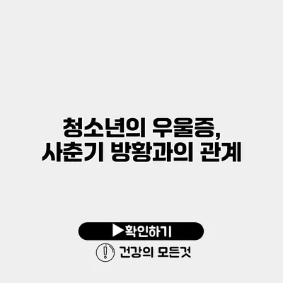청소년의 우울증, 사춘기 방황과의 관계