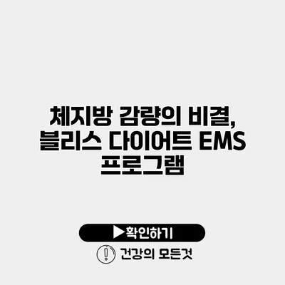 체지방 감량의 비결, 블리스 다이어트 EMS 프로그램
