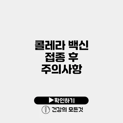 콜레라 백신 접종 후 주의사항