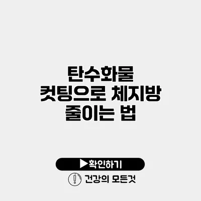 탄수화물 컷팅으로 체지방 줄이는 법