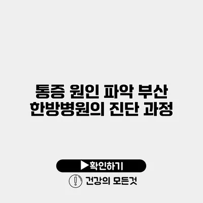 통증 원인 파악 부산 한방병원의 진단 과정