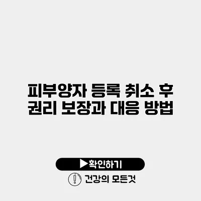 피부양자 등록 취소 후 권리 보장과 대응 방법