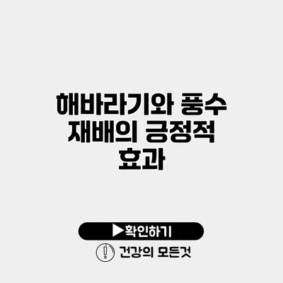 해바라기와 풍수 재배의 긍정적 효과
