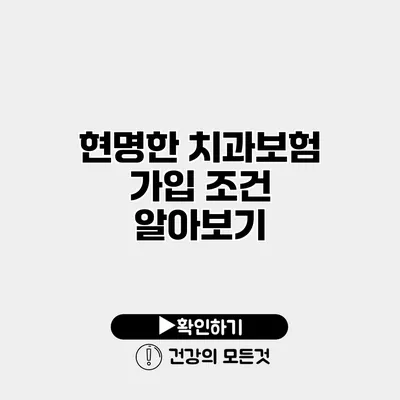 현명한 치과보험 가입 조건 알아보기