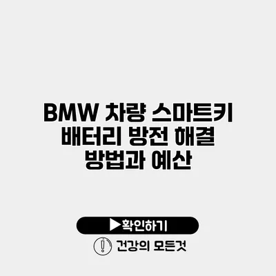 BMW 차량 스마트키 배터리 방전 해결 방법과 예산