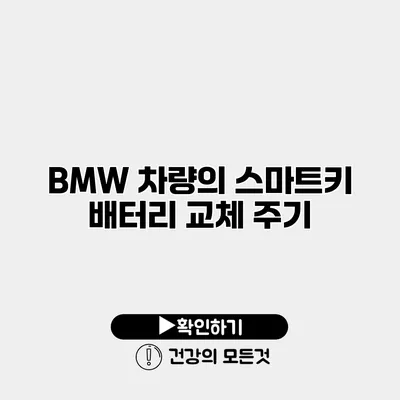 BMW 차량의 스마트키 배터리 교체 주기