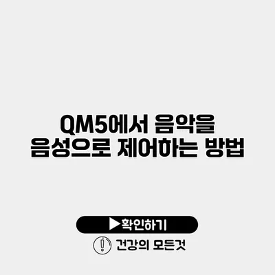 QM5에서 음악을 음성으로 제어하는 방법